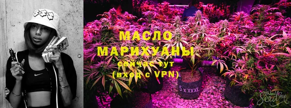 стафф Майский