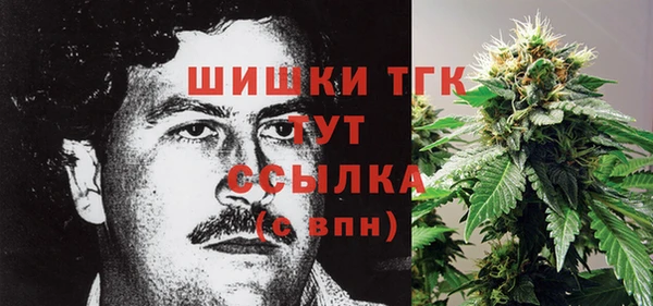 стафф Майский