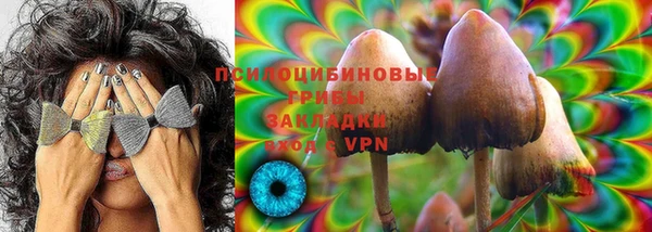 прущий лед Магадан