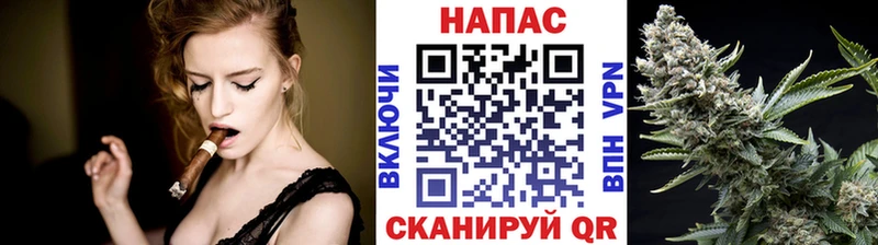 Бошки Шишки гибрид Нариманов